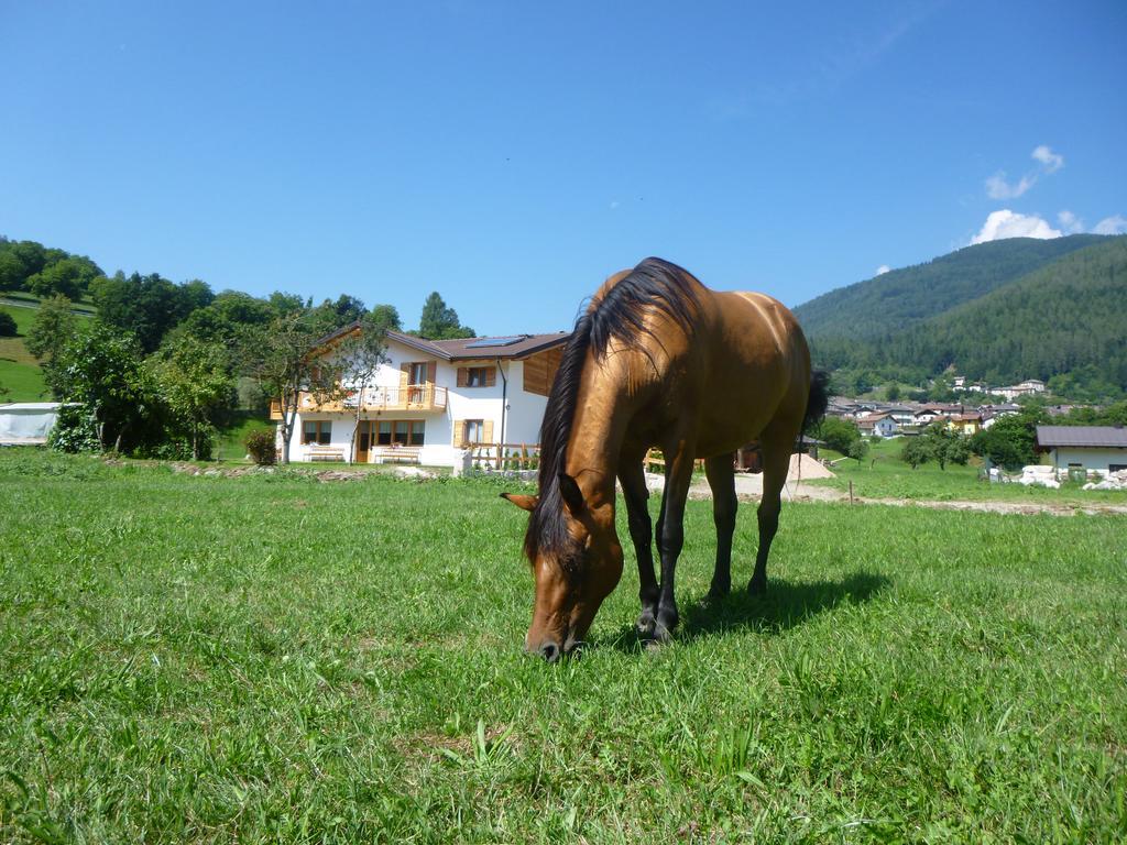 Вілла Agriturismo Fattoria Dalcastagne Torcegno Екстер'єр фото