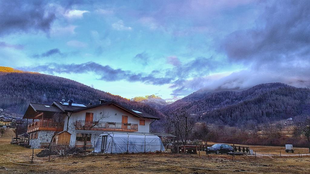 Вілла Agriturismo Fattoria Dalcastagne Torcegno Екстер'єр фото