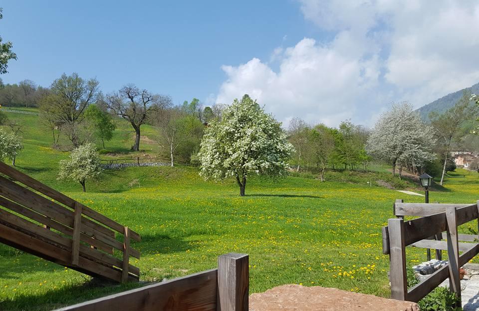 Agriturismo Fattoria Dalcastagne Torcegno Екстер'єр фото