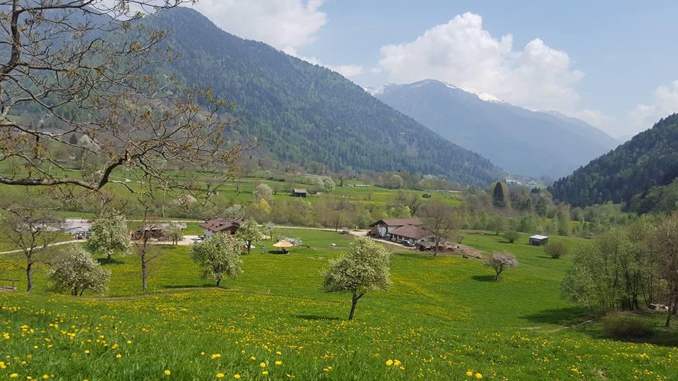 Вілла Agriturismo Fattoria Dalcastagne Torcegno Екстер'єр фото